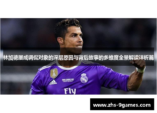 林加德屡成调侃对象的深层原因与背后故事的多维度全景解读详析篇