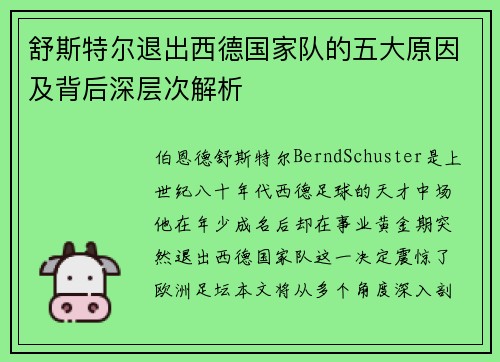 舒斯特尔退出西德国家队的五大原因及背后深层次解析